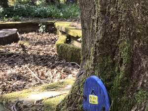 Image 15